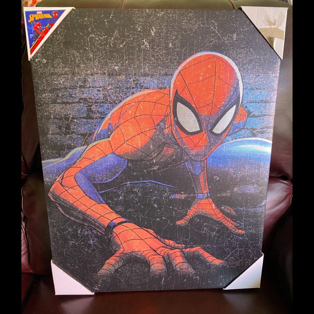 Spider-Man Picture Frame - Picture 2 of 8